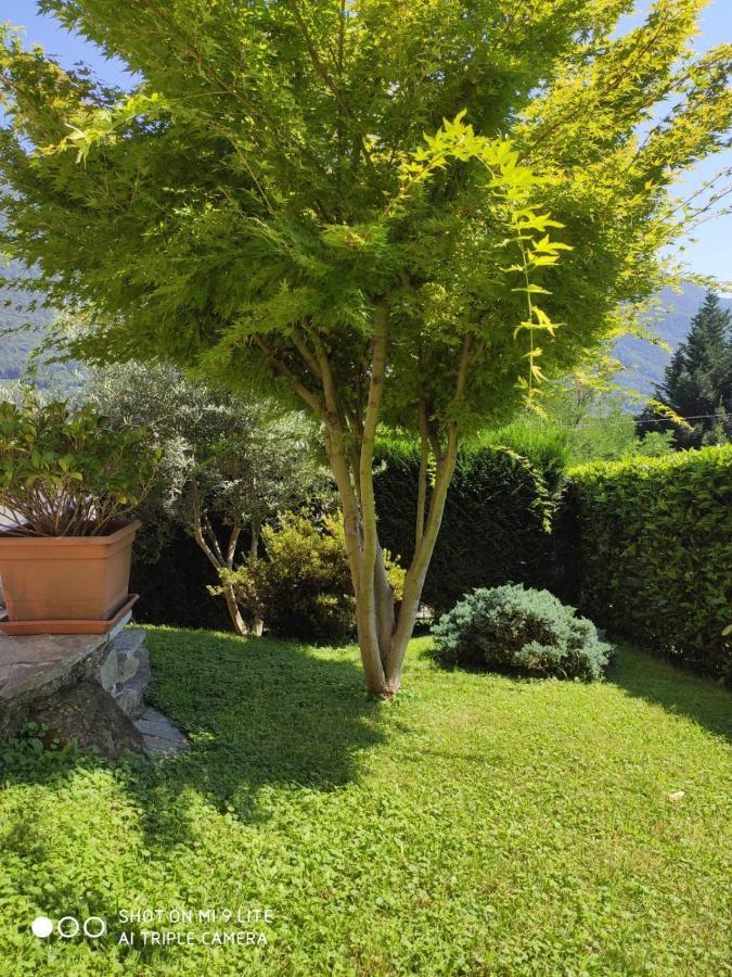 Casa Vacanza Il Glicine Casale Corte Cerro Extérieur photo