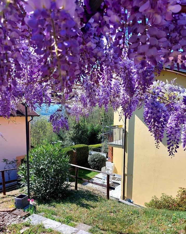 Casa Vacanza Il Glicine Casale Corte Cerro Extérieur photo